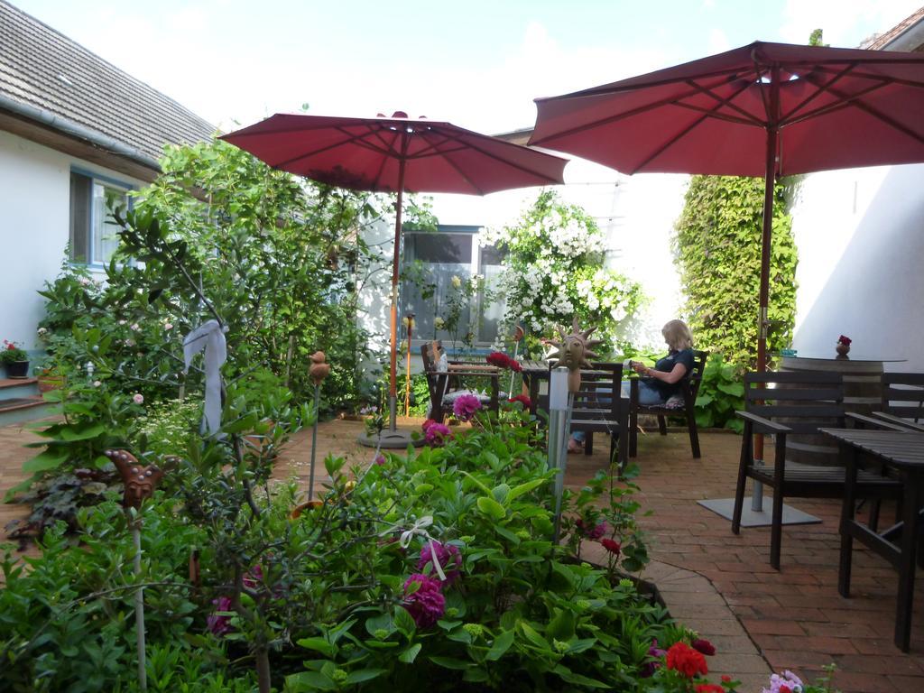 Stieglerhof Kg -Apartments Illmitz- Экстерьер фото