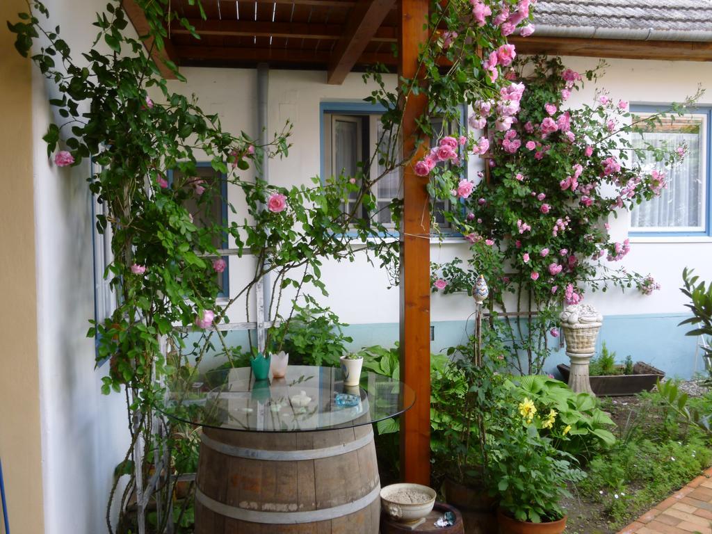 Stieglerhof Kg -Apartments Illmitz- Экстерьер фото