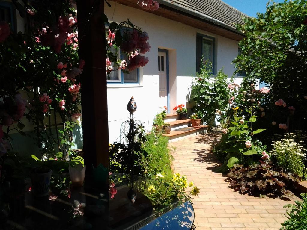 Stieglerhof Kg -Apartments Illmitz- Экстерьер фото